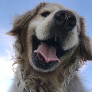 Meet your Posher, Kelley